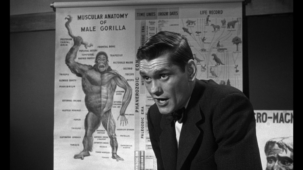 Dick York in 'Inherit the Wind'