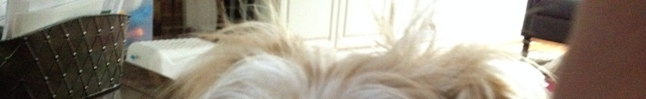 “There is no one bedrock of reality” is an odd theme for Thanksgiving, but hear me out