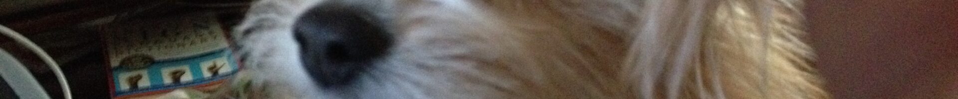 “There is no one bedrock of reality” is an odd theme for Thanksgiving, but hear me out